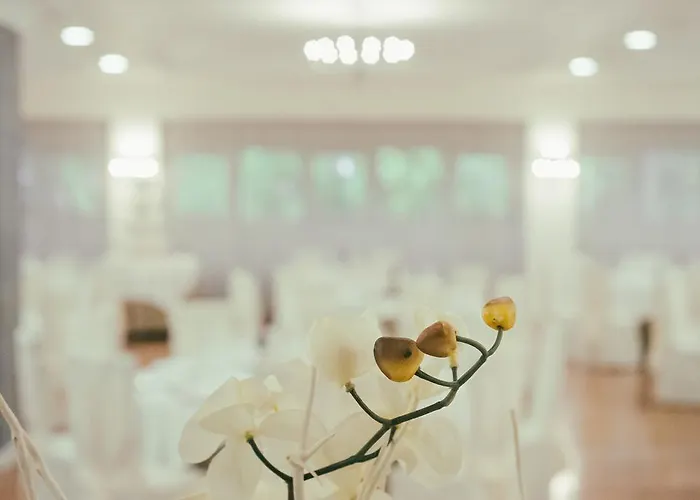 Hotel Garden Experience